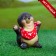 Garden figure "Mole No. 1", 10x8x12cm