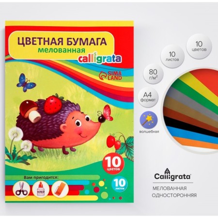 Color paper A4, 10 sheets, 10 colors "Hedgehog in the forest", coated, in the folder-6