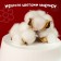 Dry flowers of cotton, set 3 pcs., Size 1 pc. 6 × 6 cm, white color