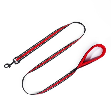 The ammunition set is soft, reflective, leash 120 x 2 cm, Osh 25-72 cm, red-8