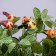 Decor at the clothespin "Bird", mix, 8 x 3 x 3 cm