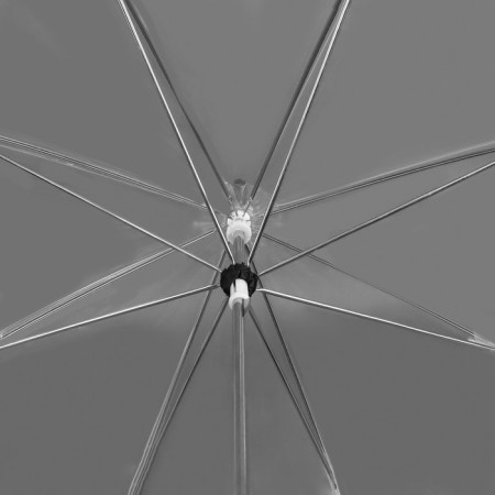 Umbrella - semi -automatic cane "Kant", 8 spokes, r = 43 cm, black/transparent color-5