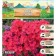 Flox "Starfire" rr I, 2 pcs,