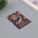A postcard with the seeds "grow itself" "glory and recognition!" 5*7cm