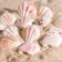 Set of shells, 4 - 5 cm, 100 g