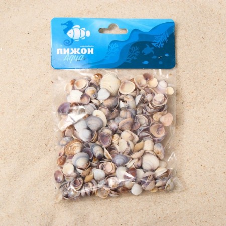 A set of decorative shells-2