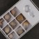 Ammonite set