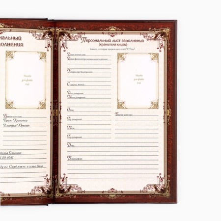 The genealogy book "Family Chronicle" in a box with a tree, 20 x 26 cm-9