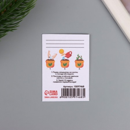 Postcard with the seeds "grow itself" "Fairytale New Year" Christmas tree 5*7cm-2