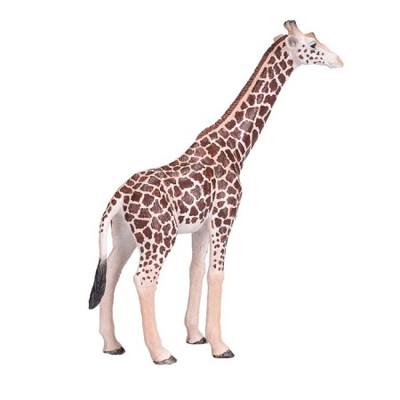 Figure Konik "Giraffe, male"-1