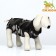 Popon postoperative, cotton, size XL (DS 48, OG 58-72 cm, weight 25-40 kg), camouflage