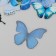 Stickers for creativity PLC PVC "Star butterflies" set 40 pcs 9x10.5 cm