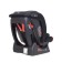 Carryress Rant Matrix Racing Line, Black Color Black