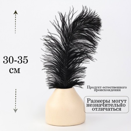 Feather for decor, size: 30-35 cm, black color-1