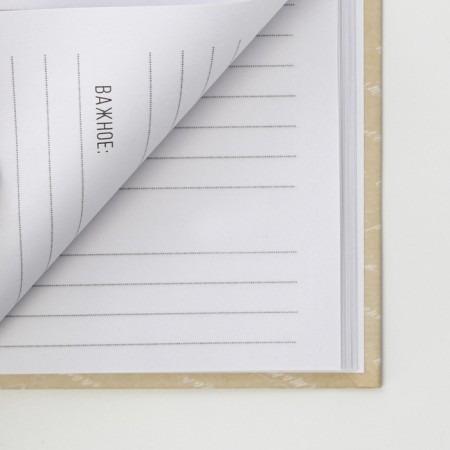 Diary in the solid cover A5, 80 liters "Letter"-2