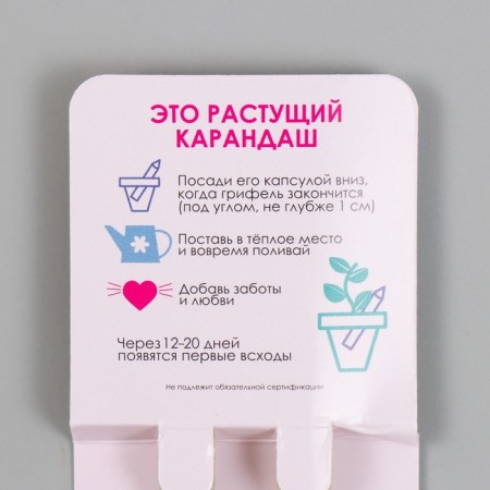 Growing gift pencils Mini "Mint and Lavada" set 2 pcs-2