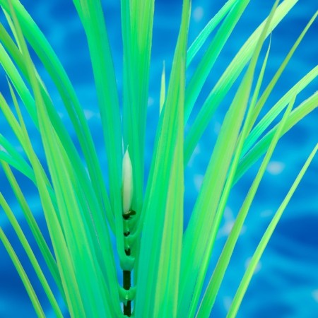 The artificial aquarium, luminous, 30 cm, green plant-2
