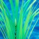 The artificial aquarium, luminous, 30 cm, green plant