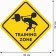 Decorative sign (poster) "Training Zone" 32x32 cm, plastic