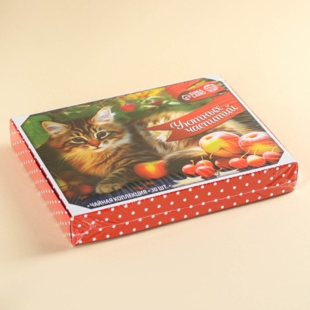 Tea collection "Cozy tea parties", 54 g (30 bags x 1.8 g).-5