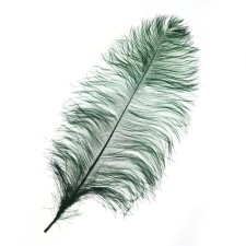 Feather for decor, length from 45 to 60 cm, dark green color