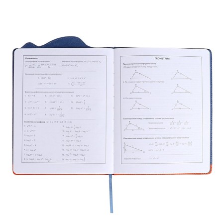 School diary for grades 1-11, "Shibaine in a shark costume", a solid cover with foam rubber, artificial leather, figured cutting, liesse, 48 sheets, block 80g/m2-8