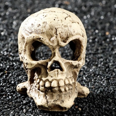 Decor for the Aquarium "Skull", 10 x 8 x 9 cm-1