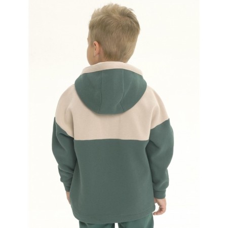 Pelican's sweatshirt for a boy, height 98 cm, green color-5