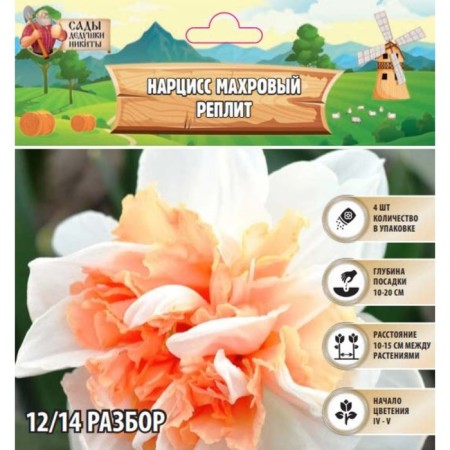 Narcissus Terry Treasury, rr 12/14, 4 pcs, autumn 2024