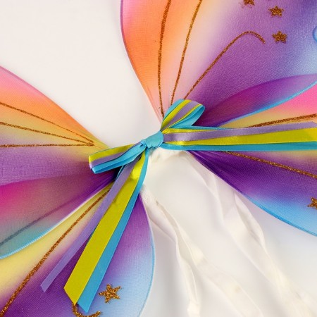 Carnival set "Butterfly" 2 items: skirt, wings, color rainbow-4
