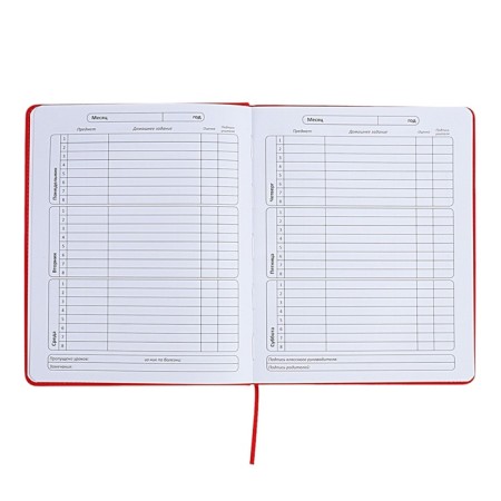 The universal diary for the 1-11 classes "Anime", a solid cover made of artificial leather, application, lies, 48 ​​sheets, red-6
