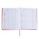 The universal diary for the 1-11 classes "Anime", a solid cover made of artificial leather, application, lies, 48 ​​sheets, red