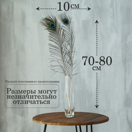 Перо павлина для декора, размер — от 70 до 80 см-1