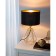Carlton 2, 1x60W E14 table lamp, brass color