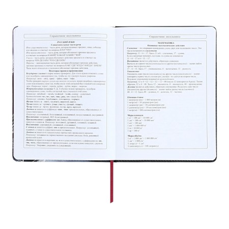 Diary 1-11 Grade "Magnolia", artificial leather, with lisasa, 48 sheets-9
