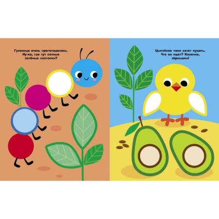 Birds. Issue 13. Mavrina L.-3