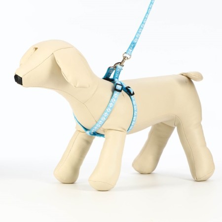The set of stitched "paws", leash 120 x 1 cm, OG 23-35 cm, blue-1