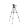 Condtrol H65 2-17-555 tripod, elevation, 65 cm, 1/4 "