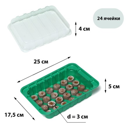 Mini-Pirate for seedlings: coconut tablet D = 3 cm (24 pcs.), Greenhouse 25 × 17.5 cm, jiffy