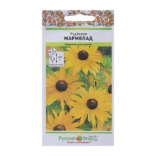 Flowers of Rudbekia 
