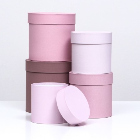 Set of round boxes 5 in 1, "heat" 20x20-14x14-1
