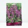 Hybrid Monard Beauty Ov Kobem, Rr. I, 1 pc, Spring 2025