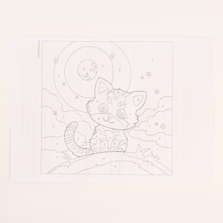 Picture on the numbers "Kitten", 20 × 20, on canvas, with a subframe-4