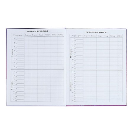 Diary for grades 1-4 "Tender Dreams", solid cover, holography, 48 sheets-5