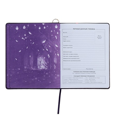 Universal Diary Grade 1-11, 48 sheets "Magic Cat", a solid cover of artificial leather, lies, universal cheat sheet, block 80 g/m2-7