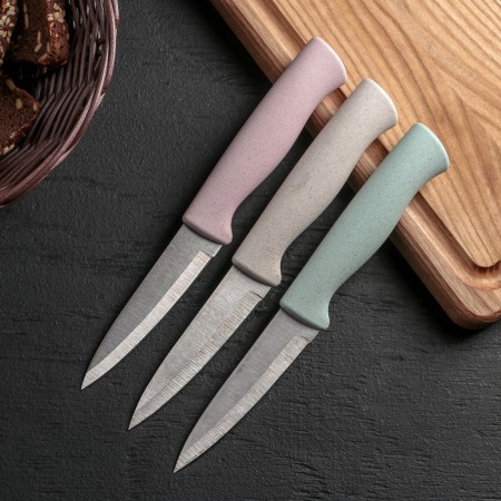 Knife for cleaning vegetables "Ringo", blade 9 cm, color mix-1