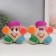 Growing gift Eco -Zhizhivchik "Five -color" Gift packaging mix