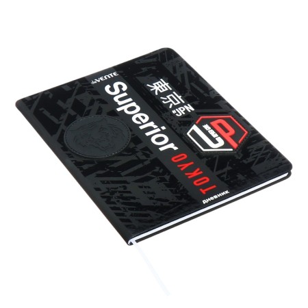 Universal diary for grade 1-11 Superior, hard cover, artificial leather, selective varnish, lies, 80 g/m2-2