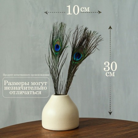 A set of peacock feathers for decor 2 pcs.-1