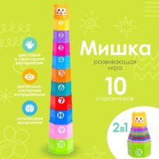Developing toy 
